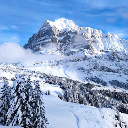 아파트 Pfyffer - Mountain View *