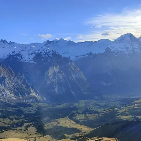 Pfyffer - Mountain View * 그린델발트