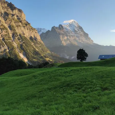 Pfyffer - Mountain View Lägenhet
