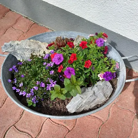 Pfyffer - Mountain View גרינדלוולד