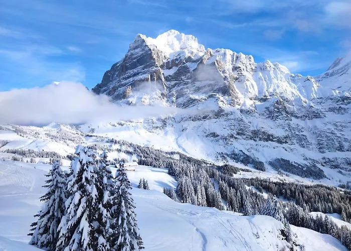 דירה Pfyffer - Mountain View *