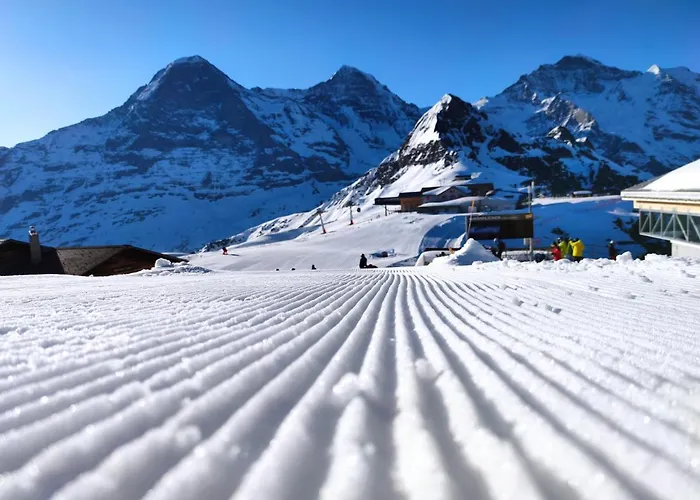 Pfyffer - Mountain View * גרינדלוולד