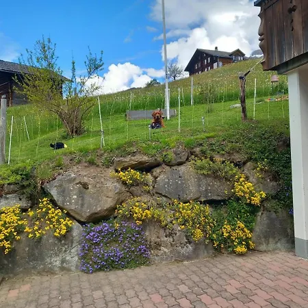 Pfyffer - Mountain View