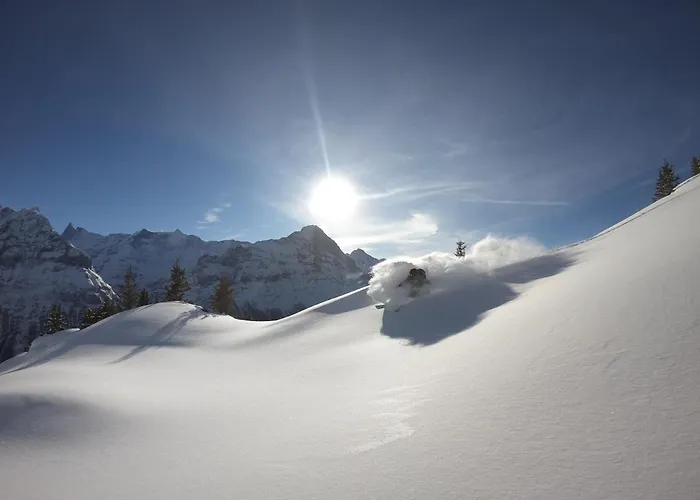 Lägenhet Pfyffer - Mountain View Grindelwald