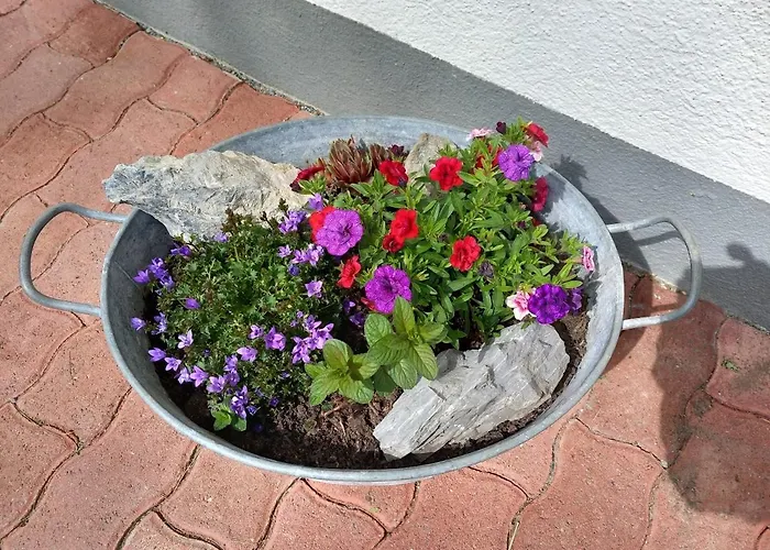 Pfyffer - Mountain View Grindelwald