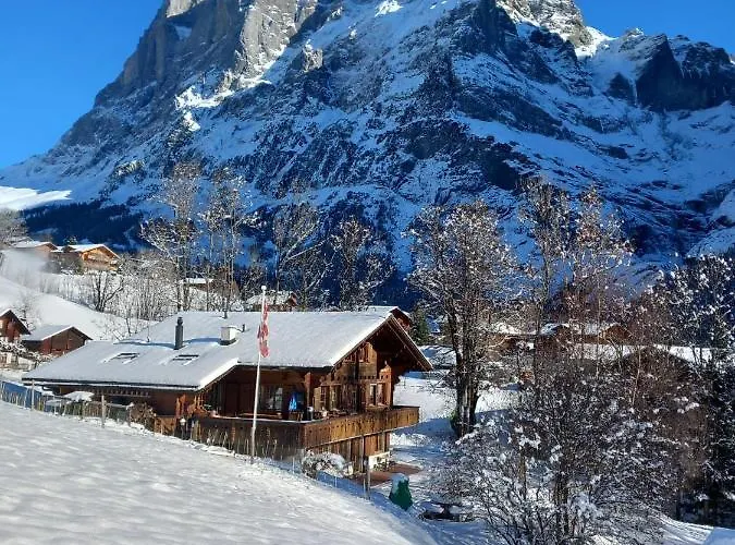 Pfyffer - Mountain View Apartamento Grindelwald